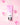 Le Scrub MADAME D'ALEXIS
